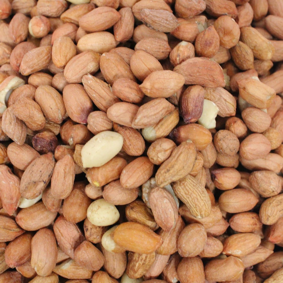 Arachidi piccole sgusciate 60/70 a buccia chiara – 1 kg